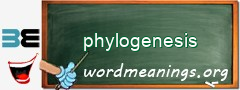 WordMeaning blackboard for phylogenesis